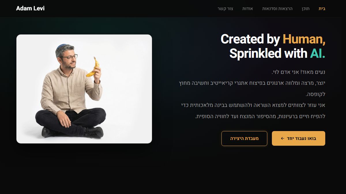 Adam Levi Site